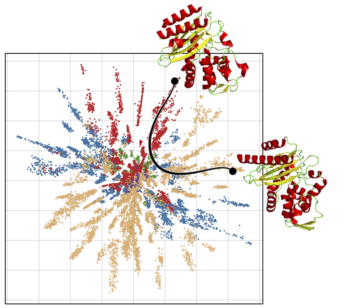 Illustration of the shortest path between two proteins