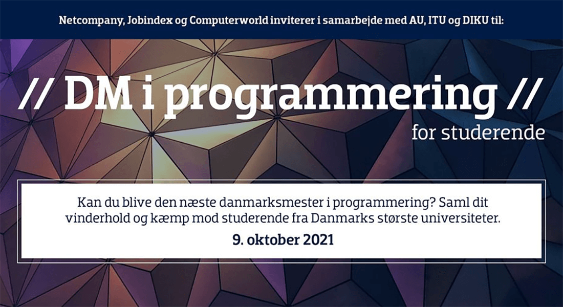 DM i programmering for studerende