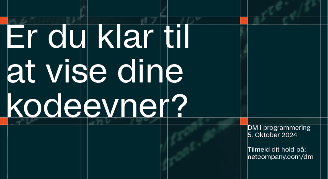 DM i Programmering grafik